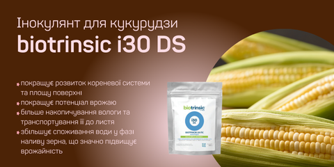 Banner from design