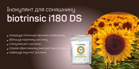 Banner from design